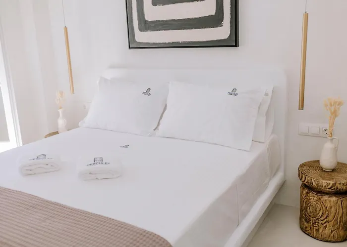 Hercules Luxury Living 3* Naousa