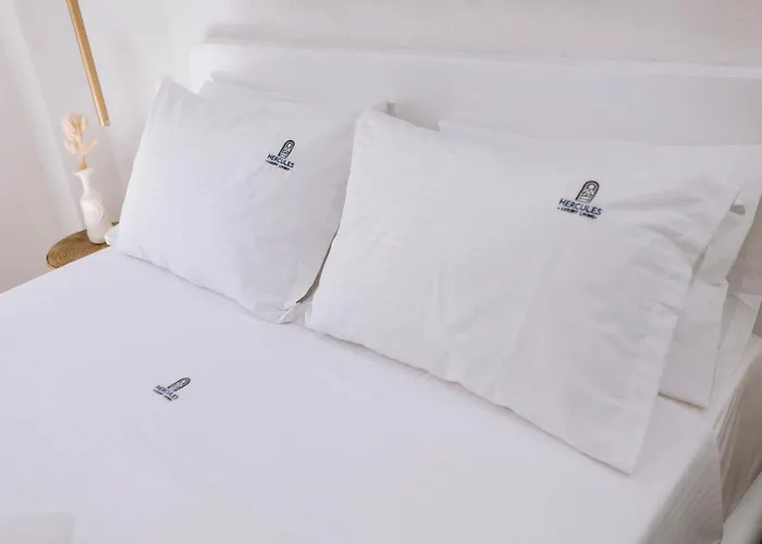 Hercules Luxury Living Lägenhetshotell Naousa