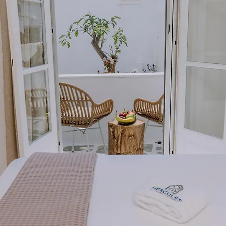 Hercules Luxury Living Aparthotel Naousa (Paros)