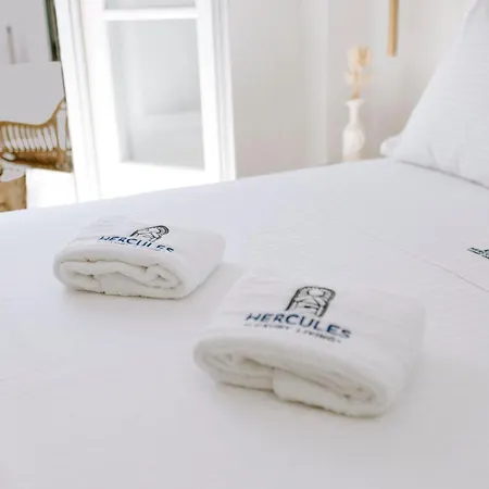 Hercules Luxury Living Naousa (Paros)