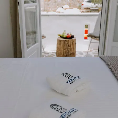 Hercules Luxury Living Aparthotel Naousa (Paros)