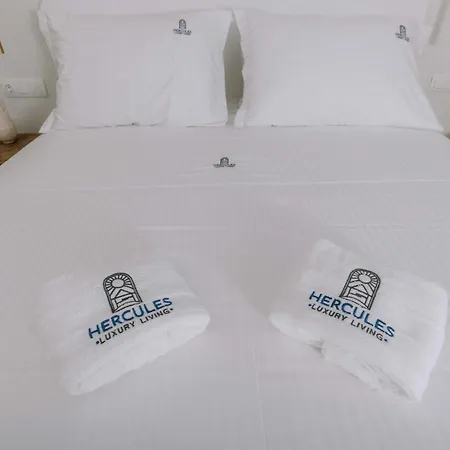 Aparthotel Hercules Luxury Living Naousa (Paros)